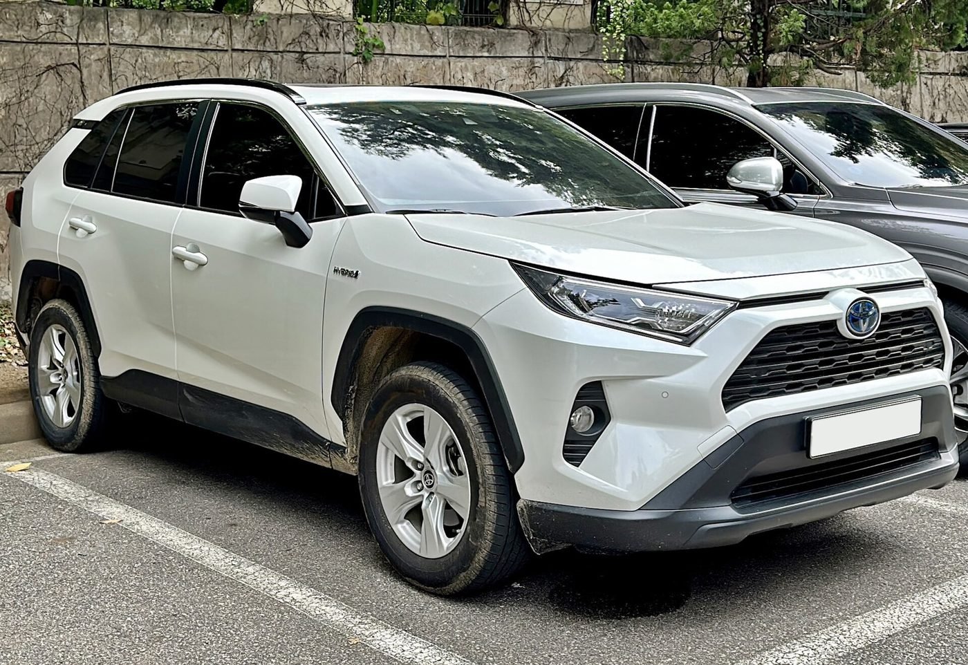 Toyota RAV4 2024